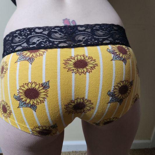 Yellow Sunflower Boy Short Panty