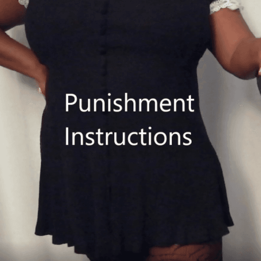 Basic Punishment Instructions