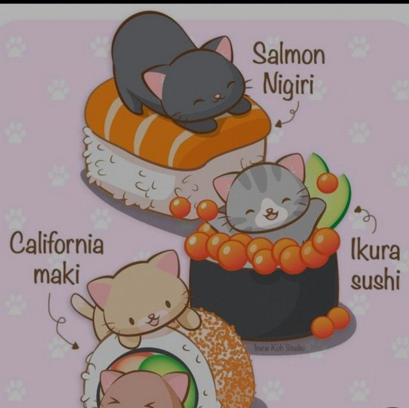 Sushi Dinner