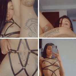 PHOTO SET HOT PLUG HARNESS