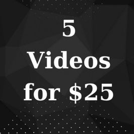 Hot Vid Bundle