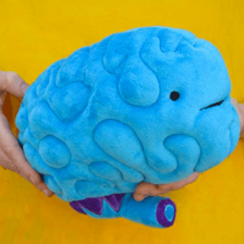 All You Need Is Lobe Brain Plushie