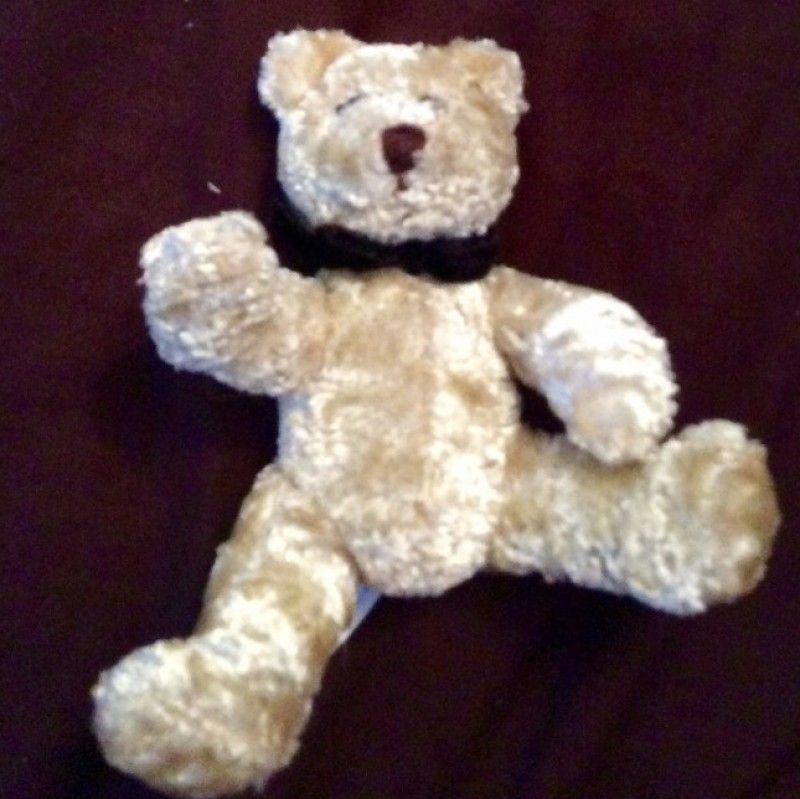 Cum Along Be My Teddy Bear Squirt Toy