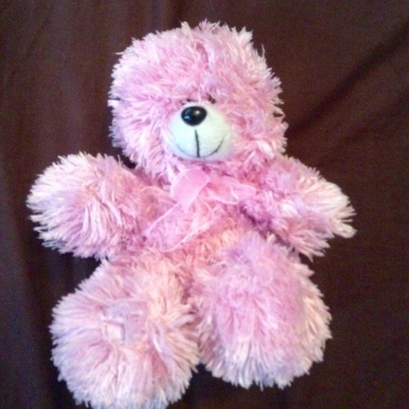 Cum Along Be My Teddy Bear Squirt Toy