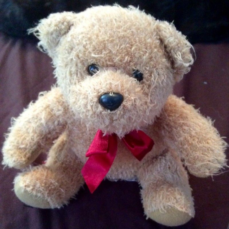 Cum Along Be My Teddy Bear Squirt Toy