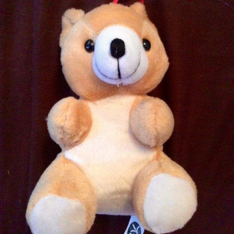 Cum Along Be My Teddy Bear Squirt Toy