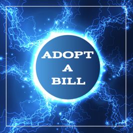 Adopt a bill INTERNET