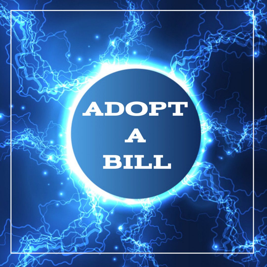 Adopt a bill CAR INSURANCE