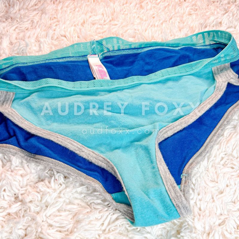 Blue and Teal Bikini Panties