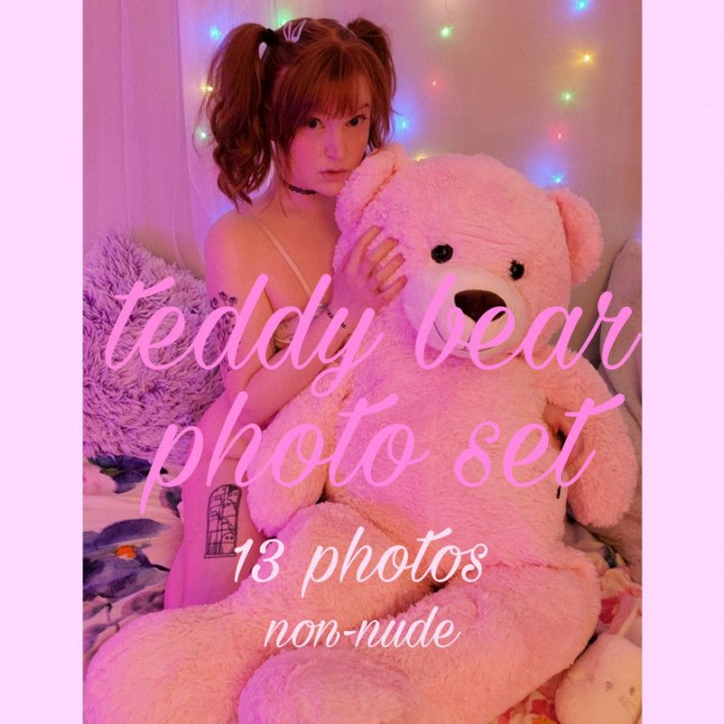 teddy bear photo set