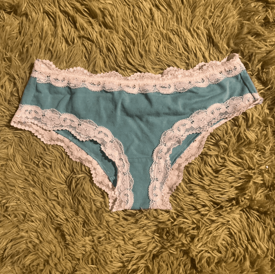 Blue Lace Panties