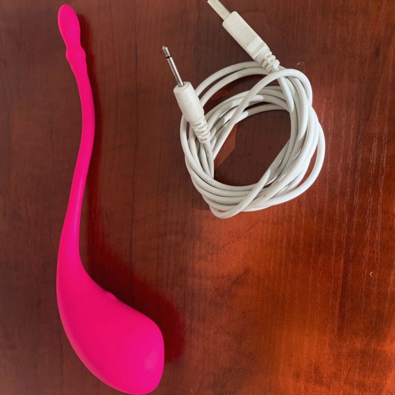 Used First Gen Lovense Lush Vibrator