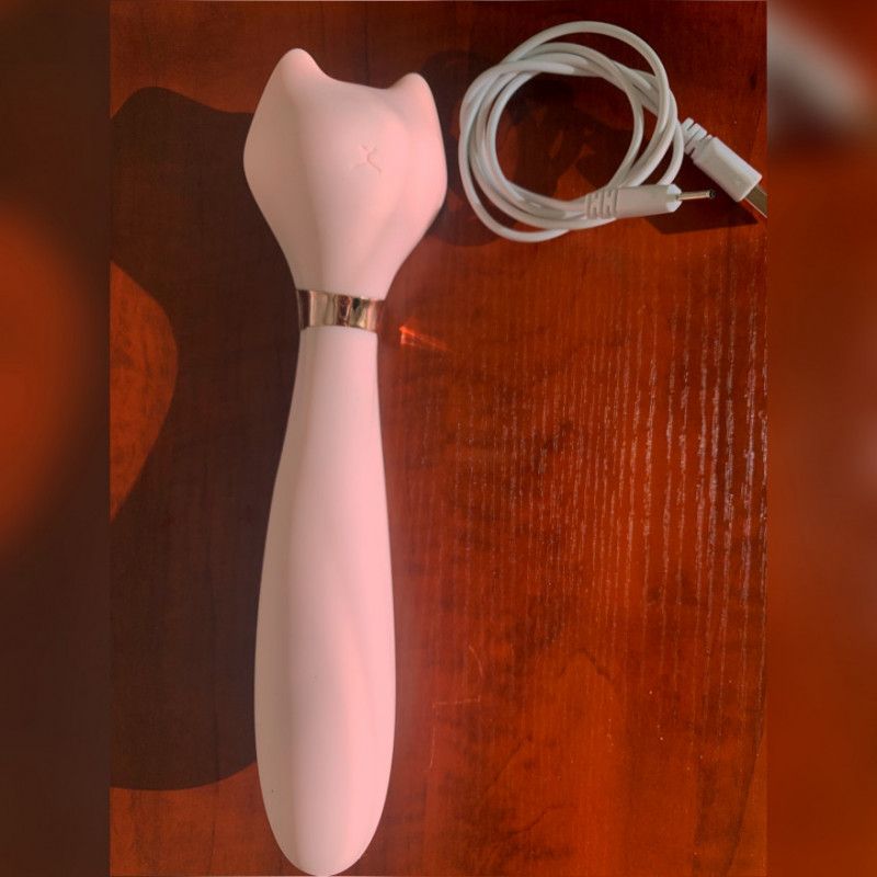 Used Pink Kitty Vibrator