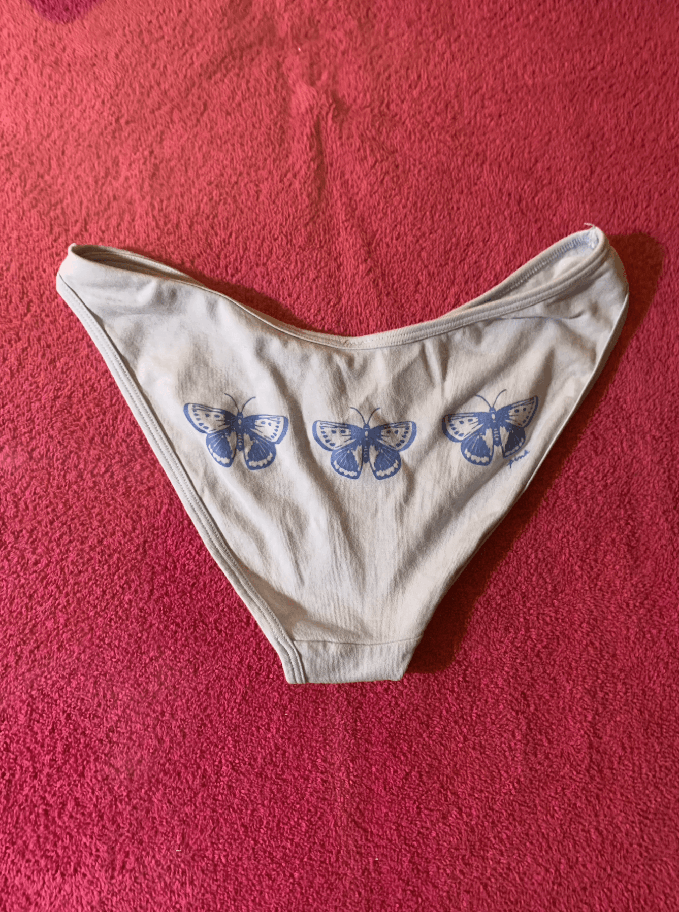 Worn Light Blue Butterfly Bikini Panties