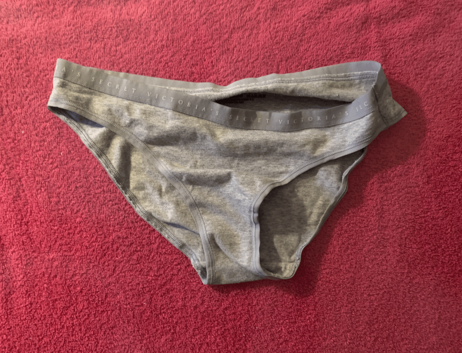 Worn VS Light Grey Hipster Panties