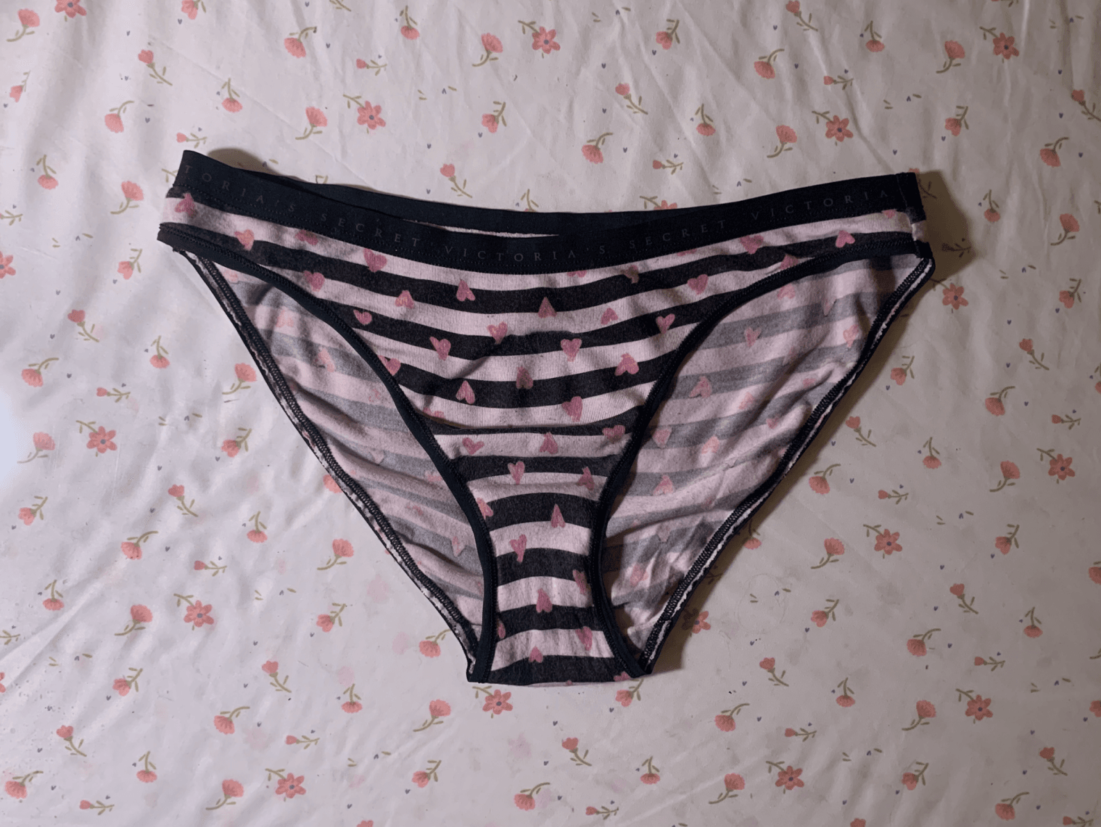 Worn VS black and white Stripe bikini panties