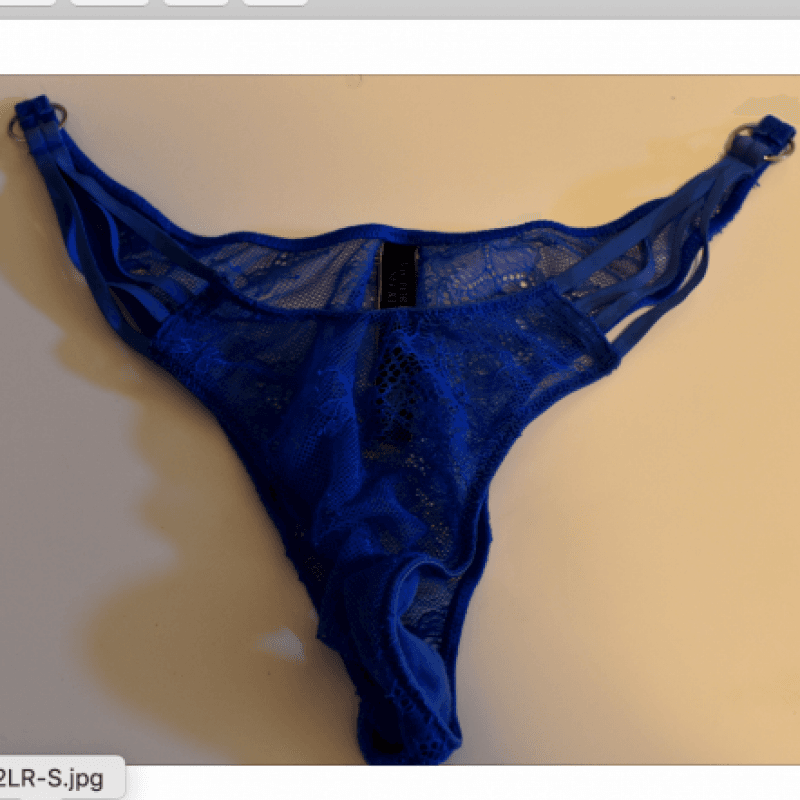 Premium Blue Mesh Panties