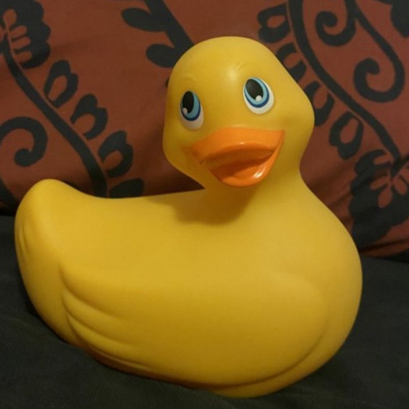 Used Rubber Ducky Vibrator