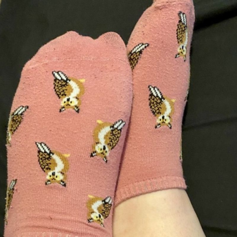 Well Worn Pink Owl Ankle Socks