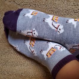 Cute Llama Socks