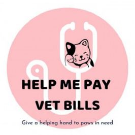 Helping Hand: Veterinary Bills