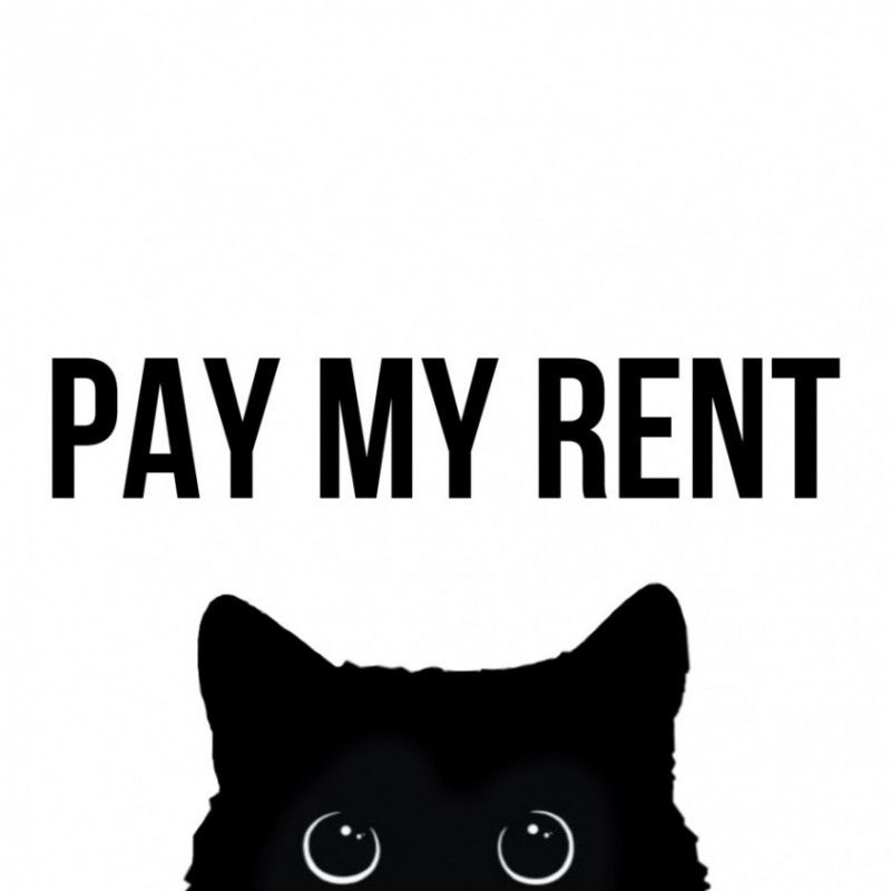 pay my rent