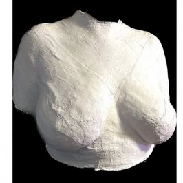 Plaster cast of my breasts and torso DOWNPAYMENT