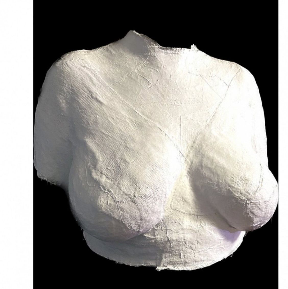 Plaster cast of my breasts and torso FINAL PAYMENT