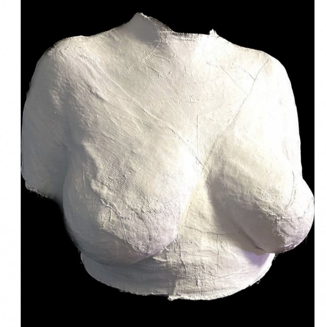 Plaster cast of my breasts and torso SHIPPING