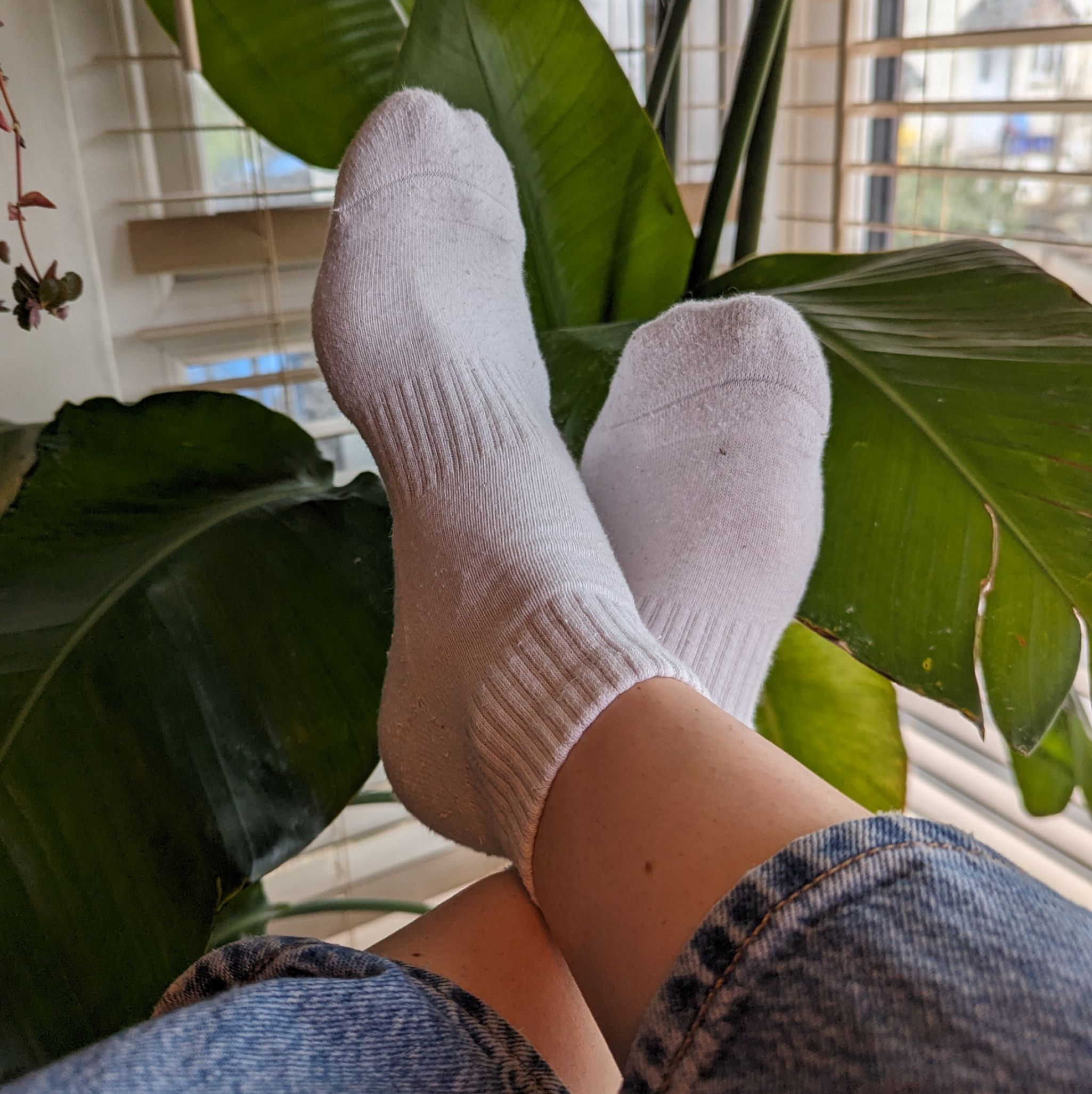 Worn white crew socks