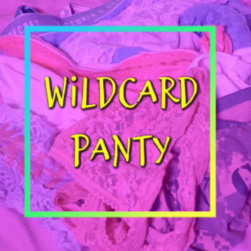 Used WILDCARD Panty