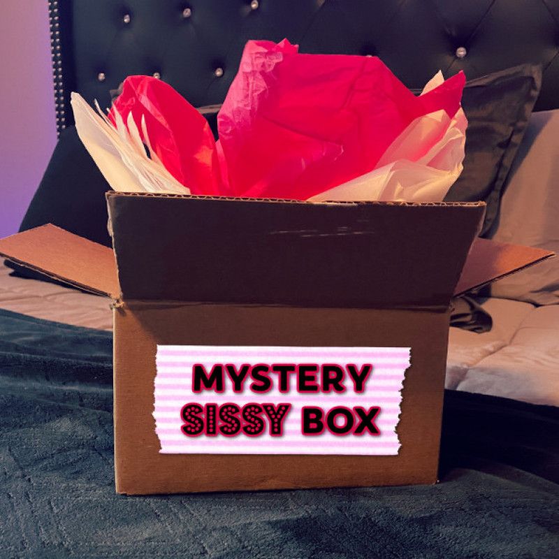 Mystery Starter Sissy Box