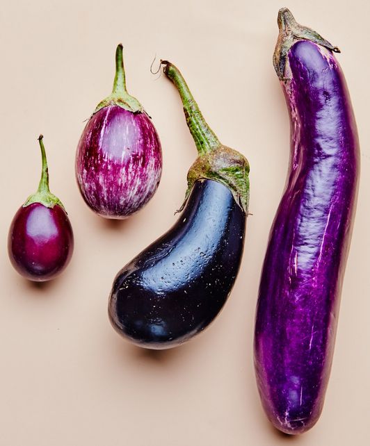 Rate Your Eggplant via Video Message