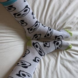 Panda Socks