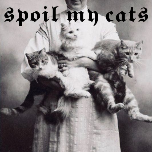 Spoil My Cats