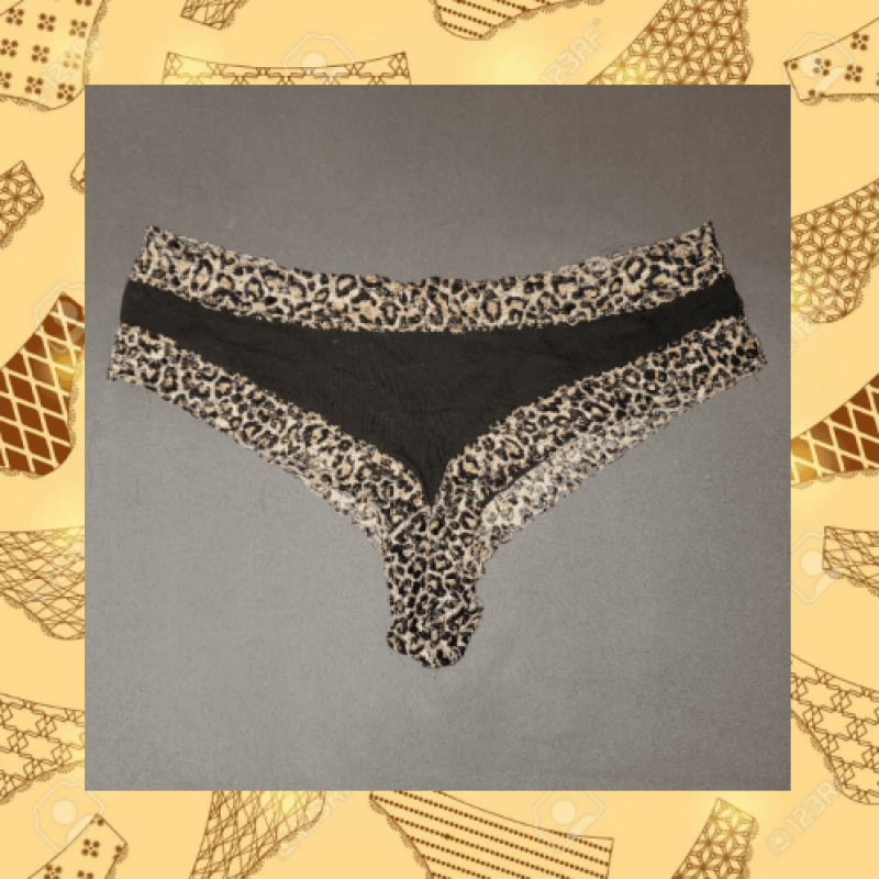 Black With Leopard Lace Cheeky Panty