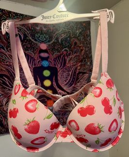 Juicy Couture Pink and Red Bra