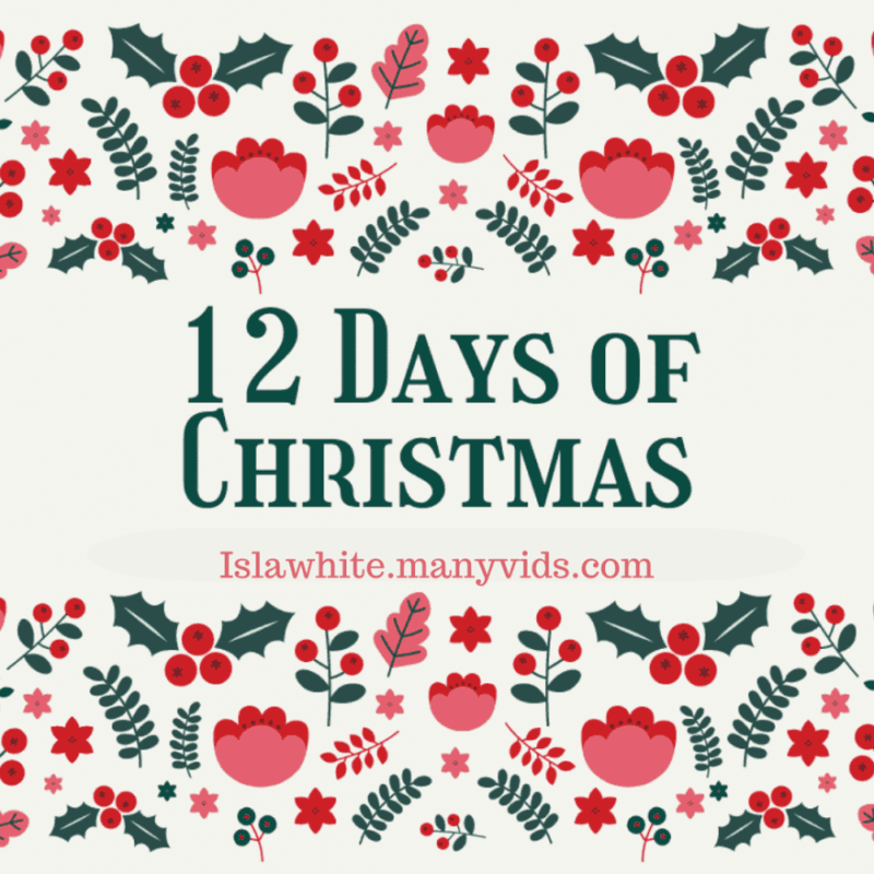 12 Days of Christmas