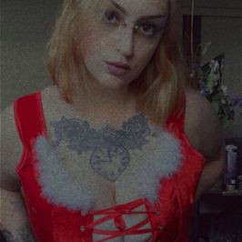 Christmas Photo Set