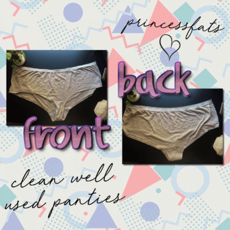 Clean Well Worn Plus Size Panties