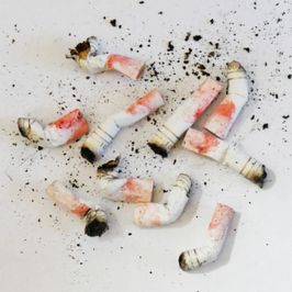 10 Cigarette Butts w Red Lipstick