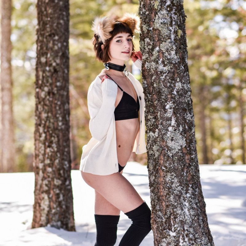 Snow Fox Photoset