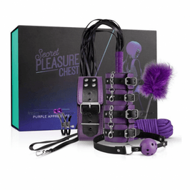 BDSM SET Secret Pleasure Chest  Purple