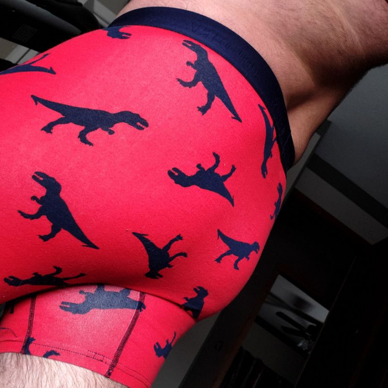 Rawr! Dinosaur Boxers