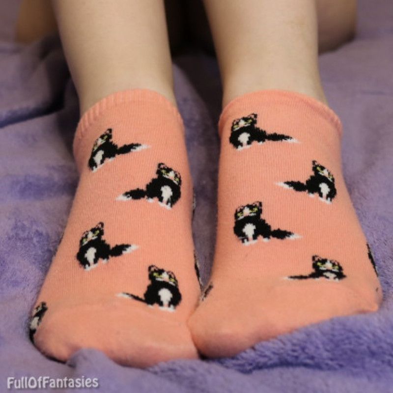 worn socks orange cats