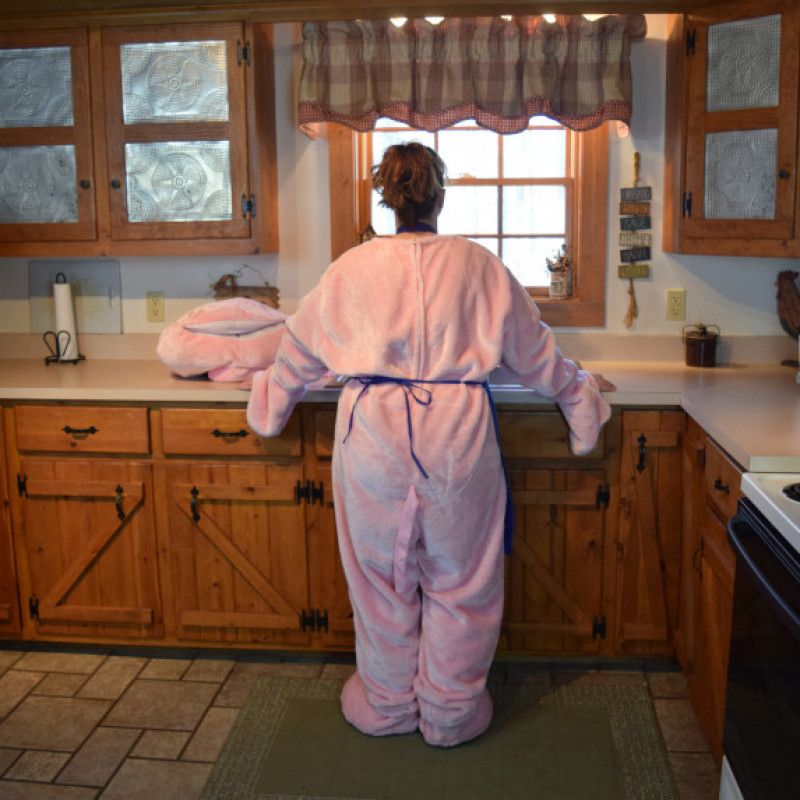 Piggie in the Kitchen