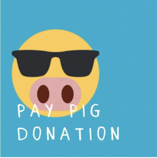 Pay Pig Donation