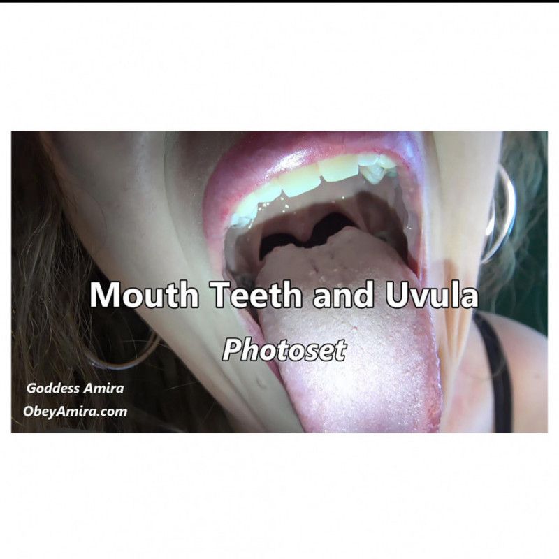 Mouth Teeth and Uvula Photoset