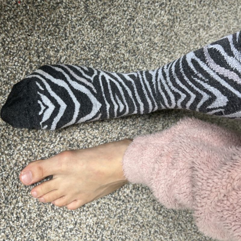 Zebra sock