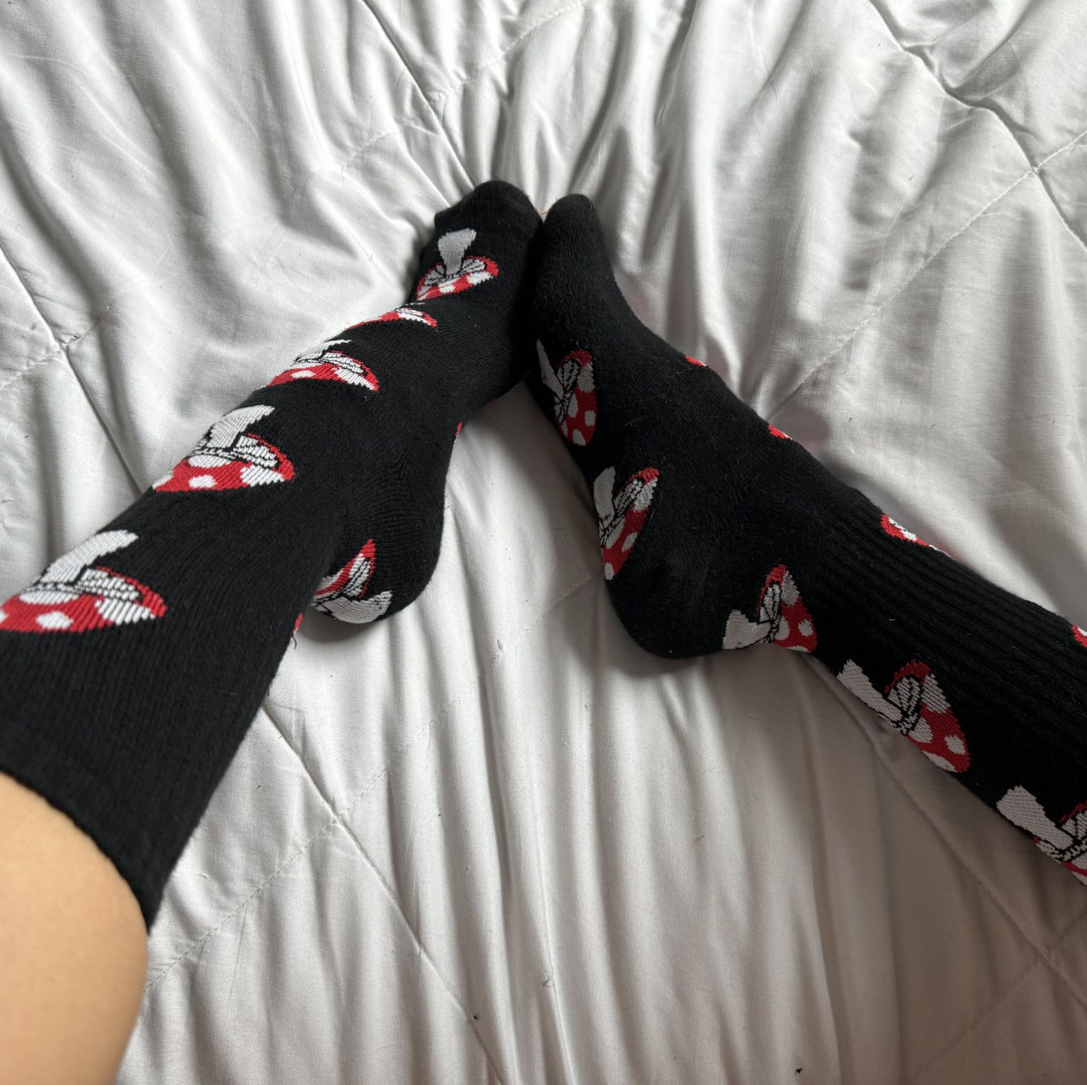 mushroom socks